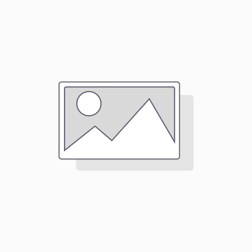 Server business standard